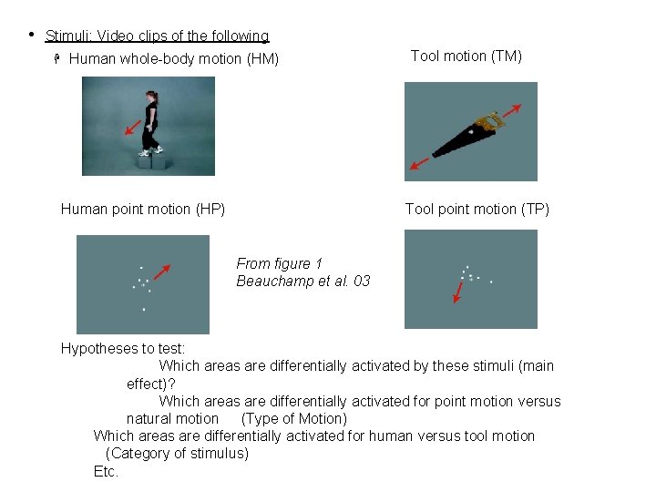  • Stimuli: Video clips of the following H Human whole-body motion (HM) Human