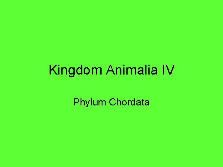 Kingdom Animalia IV Phylum Chordata 