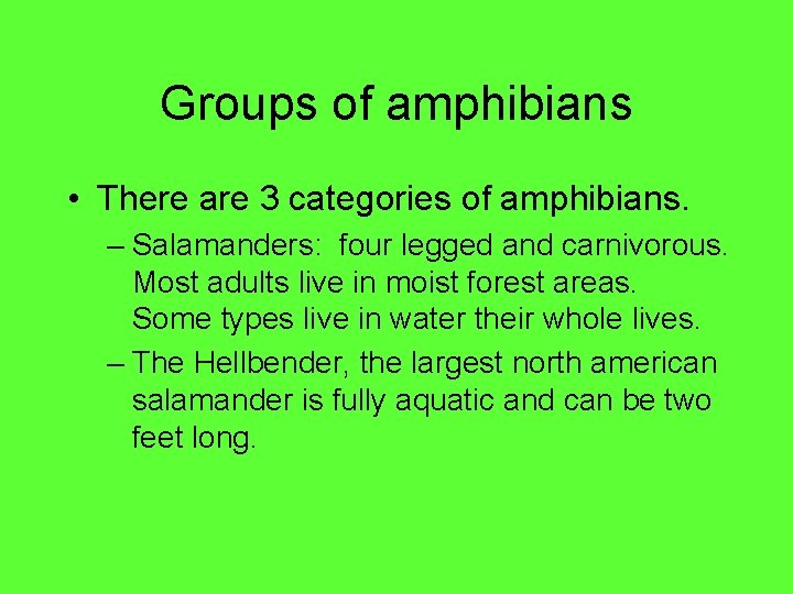 Groups of amphibians • There are 3 categories of amphibians. – Salamanders: four legged