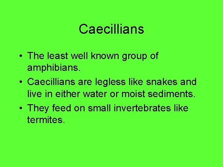 Caecillians • The least well known group of amphibians. • Caecillians are legless like