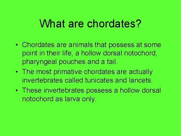 What are chordates? • Chordates are animals that possess at some point in their