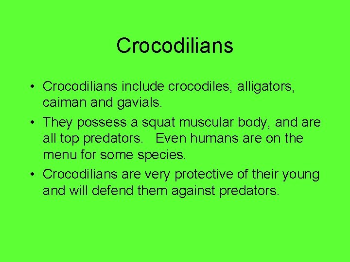 Crocodilians • Crocodilians include crocodiles, alligators, caiman and gavials. • They possess a squat