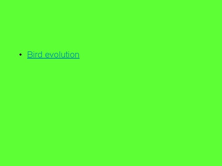  • Bird evolution 