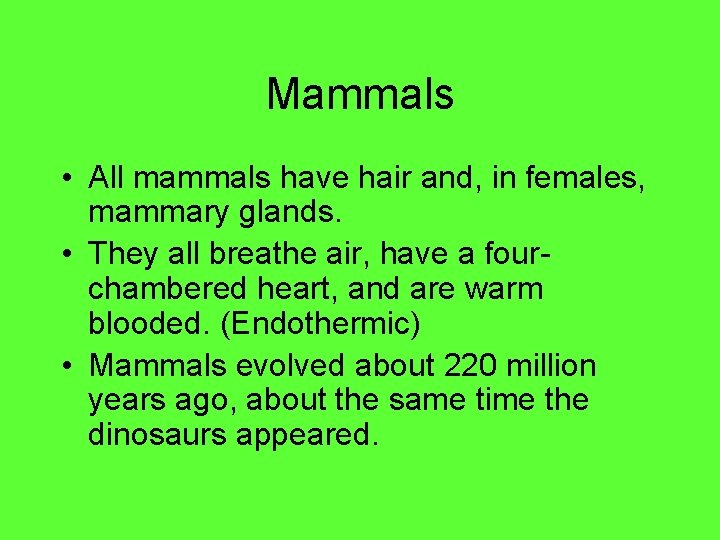 Mammals • All mammals have hair and, in females, mammary glands. • They all