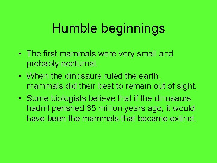 Humble beginnings • The first mammals were very small and probably nocturnal. • When