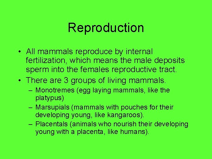 Reproduction • All mammals reproduce by internal fertilization, which means the male deposits sperm