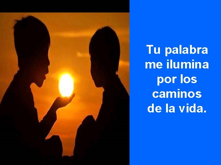 Tu palabra me ilumina por los caminos de la vida. 