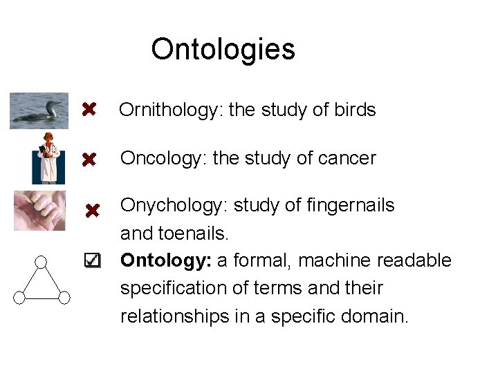 Ontologies Ornithology: the study of birds Oncology: the study of cancer Onychology: study of Ontologies Ornithology: the study of birds Oncology: the study of cancer Onychology: study of