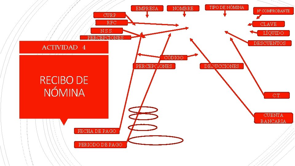 EMPRESA NOMBRE TIPO DE NÓMINA CURP RFC N° COMPROBANTE CLAVE N. S. S. PERCEPCIONES