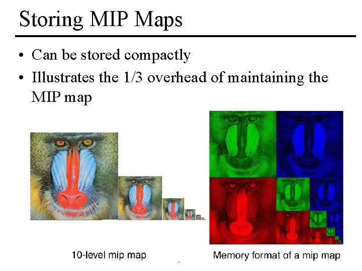 Storing MIP Maps • Can be stored compactly • Illustrates the 1/3 overhead of