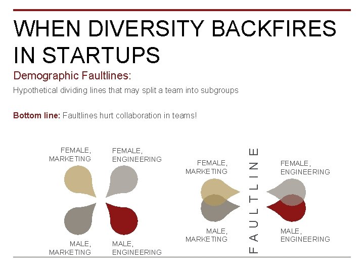 WHEN DIVERSITY BACKFIRES IN STARTUPS Demographic Faultlines: Hypothetical dividing lines that may split a