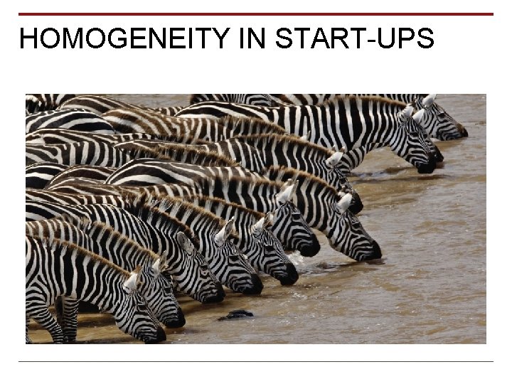 HOMOGENEITY IN START-UPS 