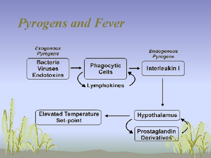 Pyrogens and Fever 