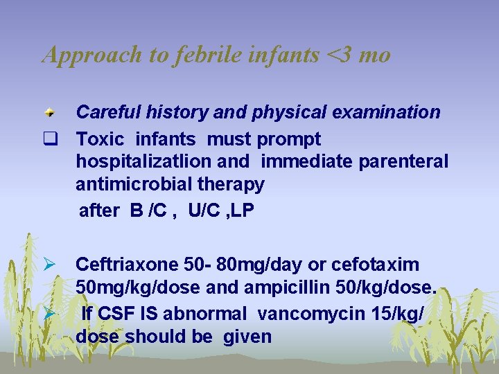 Approach to febrile infants <3 mo Careful history and physical examination q Toxic infants