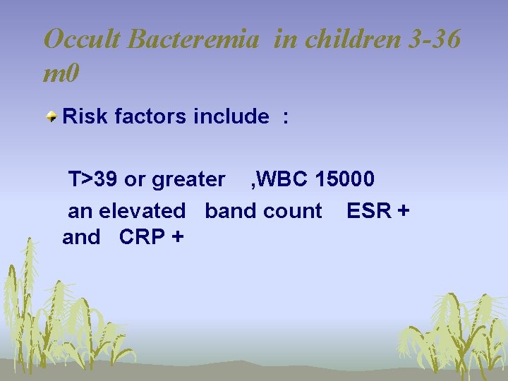 Occult Bacteremia in children 3 -36 m 0 Risk factors include : T>39 or