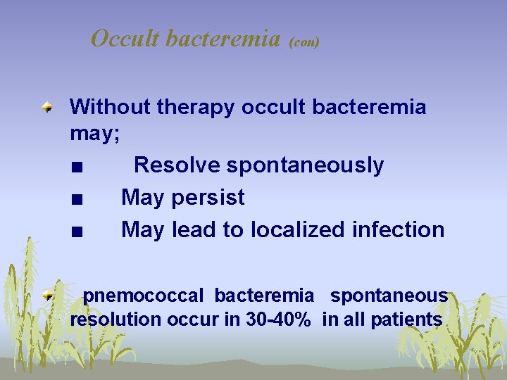 Occult bacteremia (con) Without therapy occult bacteremia may; ■ Resolve spontaneously ■ May persist