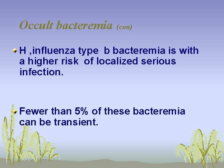 Occult bacteremia (con) H , influenza type b bacteremia is with a higher risk