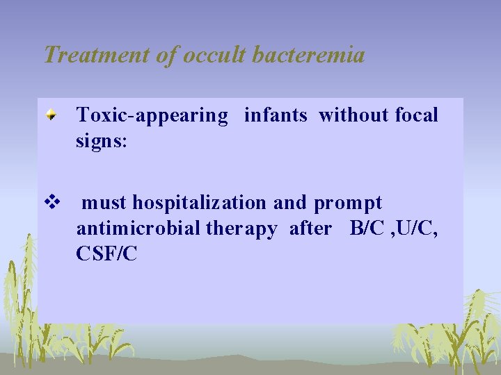 Treatment of occult bacteremia Toxic-appearing infants without focal signs: v must hospitalization and prompt