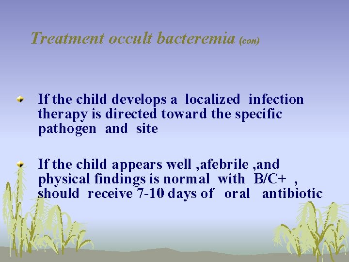Treatment occult bacteremia (con) If the child develops a localized infection therapy is directed
