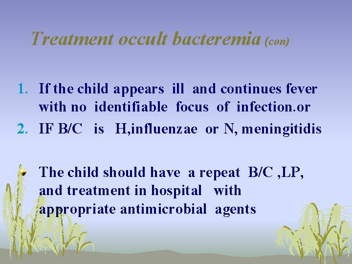 Treatment occult bacteremia (con) 1. If the child appears ill and continues fever with