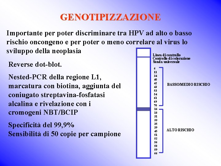 GENOTIPIZZAZIONE Importante per poter discriminare tra HPV ad alto o basso rischio oncongeno e