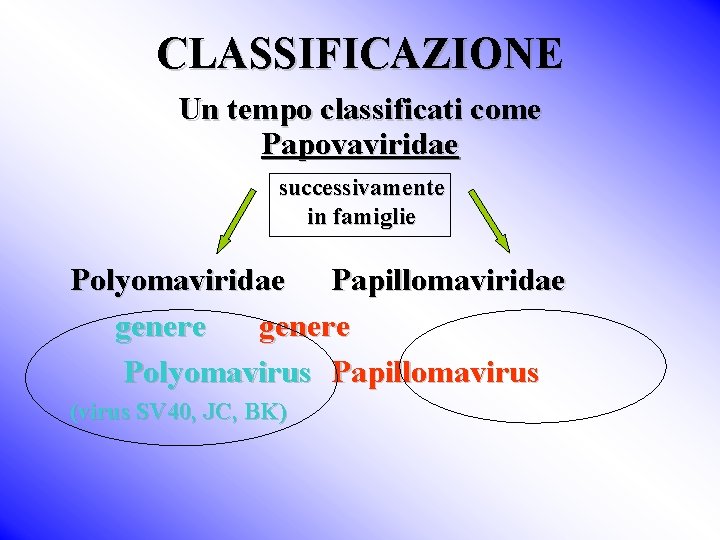 CLASSIFICAZIONE Un tempo classificati come Papovaviridae successivamente in famiglie Polyomaviridae Papillomaviridae genere Polyomavirus Papillomavirus