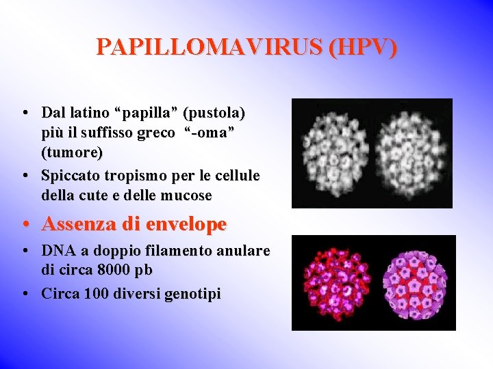 PAPILLOMAVIRUS (HPV) • Dal latino “papilla” (pustola) più il suffisso greco “-oma” (tumore) •