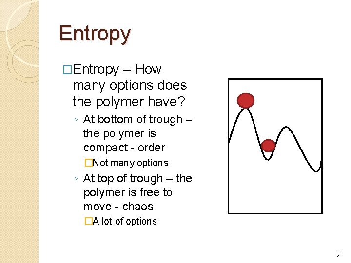 Entropy �Entropy – How many options does the polymer have? ◦ At bottom of