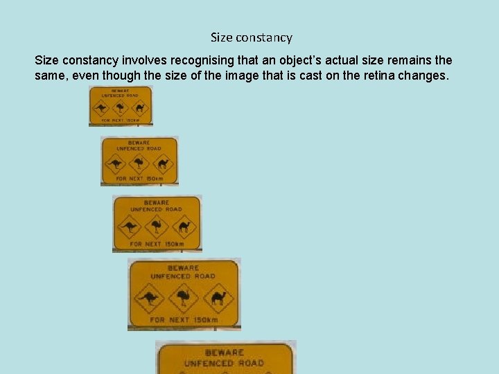 Size constancy involves recognising that an object’s actual size remains the same, even though