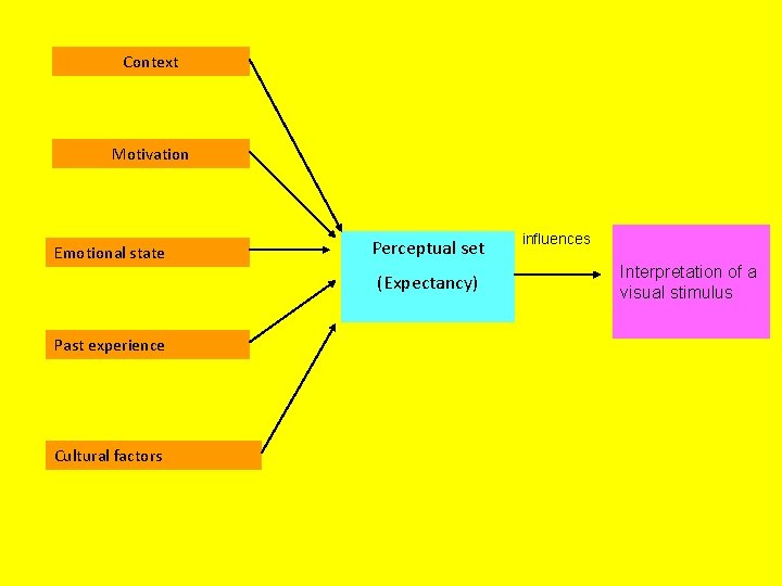 Context Motivation Emotional state Perceptual set (Expectancy) Past experience Cultural factors influences Interpretation of