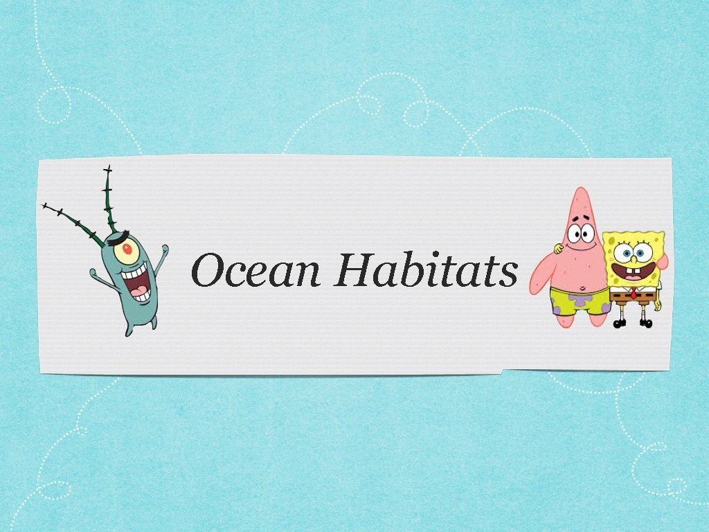 Ocean Habitats 