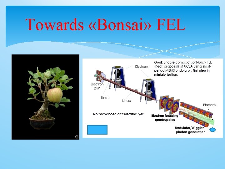 Towards «Bonsai» FEL 