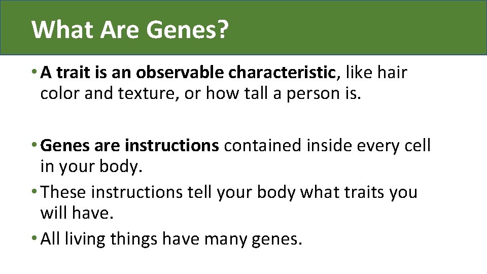 What Are Genes? • A trait is an observable characteristic, like hair color and
