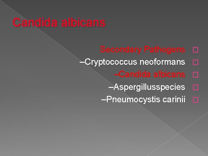 Candida albicans Secondary Pathogens –Cryptococcus neoformans –Candida albicans –Aspergillusspecies –Pneumocystis carinii � � �