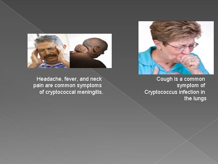 Headache, fever, and neck pain are common symptoms of cryptococcal meningitis. Cough is a
