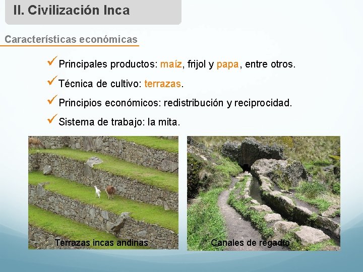 II. Civilización Inca Características económicas üPrincipales productos: maíz, frijol y papa, entre otros. üTécnica