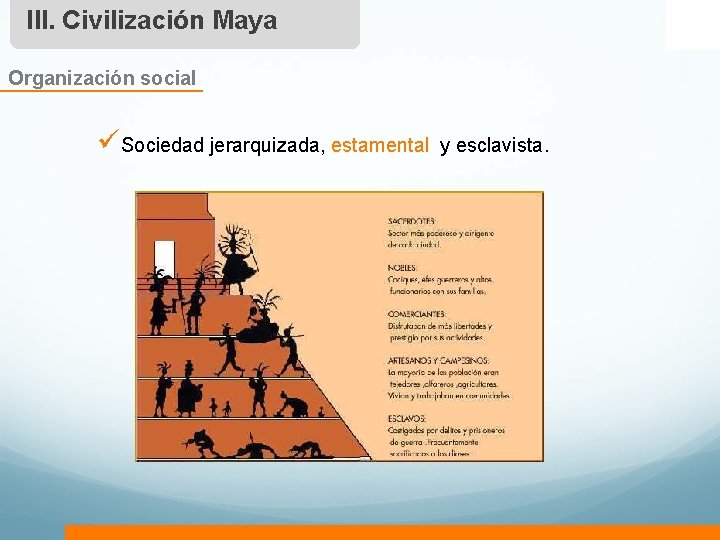 III. Civilización Maya Organización social üSociedad jerarquizada, estamental y esclavista. 