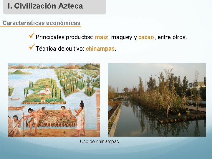 I. Civilización Azteca Características económicas üPrincipales productos: maíz, maguey y cacao, entre otros. üTécnica