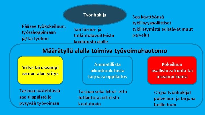 Työnhakija Pääsee työkokeiluun, työssäoppimaan ja/tai työhön Saa täsmä- ja tutkintotavoitteista koulutusta alalle Saa käyttöönsä