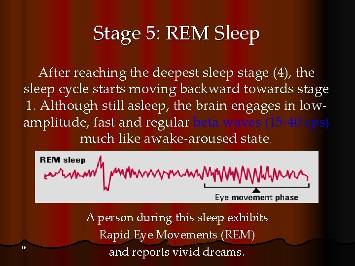 Stage 5: REM Sleep After reaching the deepest sleep stage (4), the sleep cycle
