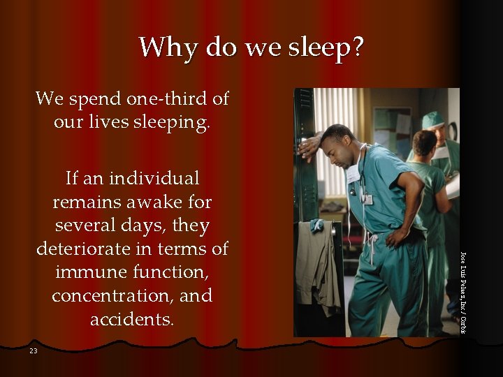 Why do we sleep? We spend one-third of our lives sleeping. 23 Jose Luis