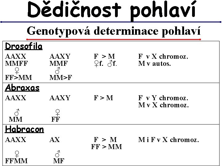 Dědičnost pohlaví Genotypová determinace pohlaví Drosofila AAXX MMFF ♀ FF>MM AAXY MMF ♂ MM>F Dědičnost pohlaví Genotypová determinace pohlaví Drosofila AAXX MMFF ♀ FF>MM AAXY MMF ♂ MM>F