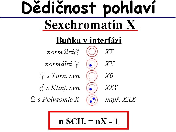 Dědičnost pohlaví Sexchromatin X Buňka v interfázi normální♂ XY normální ♀ XX ♀ s Dědičnost pohlaví Sexchromatin X Buňka v interfázi normální♂ XY normální ♀ XX ♀ s