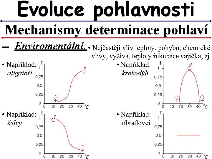 Evoluce pohlavnosti Mechanismy determinace pohlaví ▬ Enviromentální: • Nejčastěji vliv teploty, pohybu, chemické vlivy, Evoluce pohlavnosti Mechanismy determinace pohlaví ▬ Enviromentální: • Nejčastěji vliv teploty, pohybu, chemické vlivy,