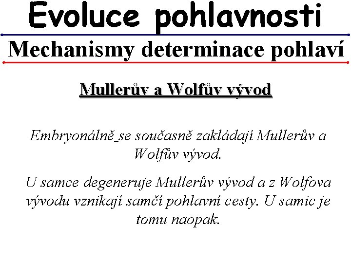 Evoluce pohlavnosti Mechanismy determinace pohlaví Mullerův a Wolfův vývod Embryonálně se současně zakládají Mullerův Evoluce pohlavnosti Mechanismy determinace pohlaví Mullerův a Wolfův vývod Embryonálně se současně zakládají Mullerův