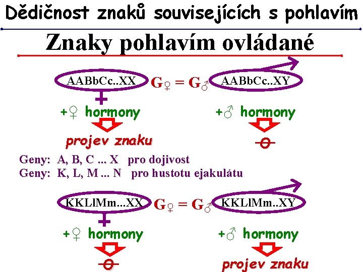 Dědičnost znaků souvisejících s pohlavím Znaky pohlavím ovládané AABb. Cc. . XX G♀ = Dědičnost znaků souvisejících s pohlavím Znaky pohlavím ovládané AABb. Cc. . XX G♀ =