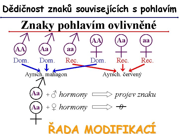 Dědičnost znaků souvisejících s pohlavím Znaky pohlavím ovlivněné ♂♂♂♀♀♀ AA Aa aa Dom. Rec. Dědičnost znaků souvisejících s pohlavím Znaky pohlavím ovlivněné ♂♂♂♀♀♀ AA Aa aa Dom. Rec.