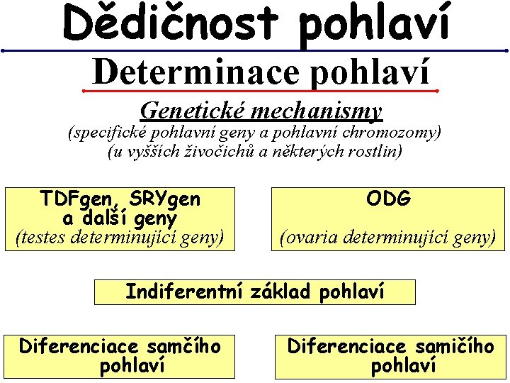 Dědičnost pohlaví Determinace pohlaví Genetické mechanismy (specifické pohlavní geny a pohlavní chromozomy) (u vyšších Dědičnost pohlaví Determinace pohlaví Genetické mechanismy (specifické pohlavní geny a pohlavní chromozomy) (u vyšších