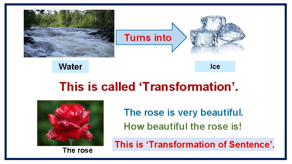 Turns into Water Ice This is called ‘Transformation’. The rose is very beautiful. How