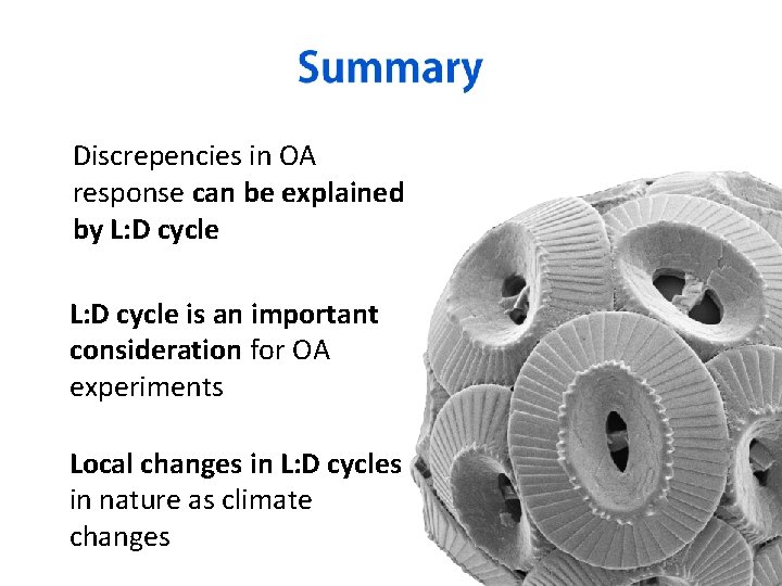 Discrepencies in OA response can be explained by L: D cycle is an important